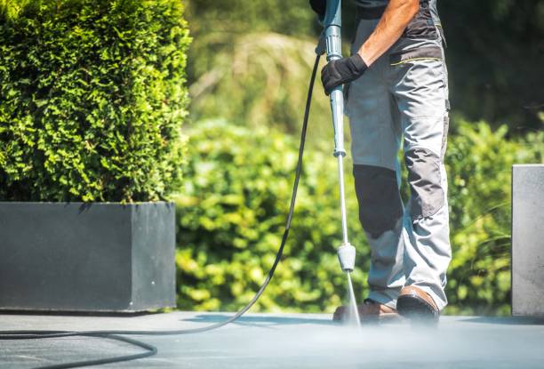 Animal Enclosure Cleaning in Tennessee Ridge, TN