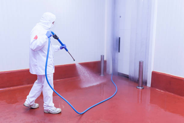 Best Sign and Awning Cleaning  in Tennessee Ridge, TN